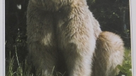 130317014