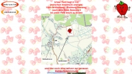ErdbeerFeldVillHP06