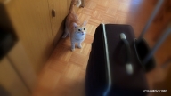 190429001